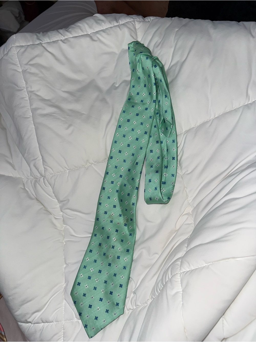 Mint Green Patterned Men's Tie
